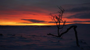 Arctic Aurora Borealis cottages Nuorgam 